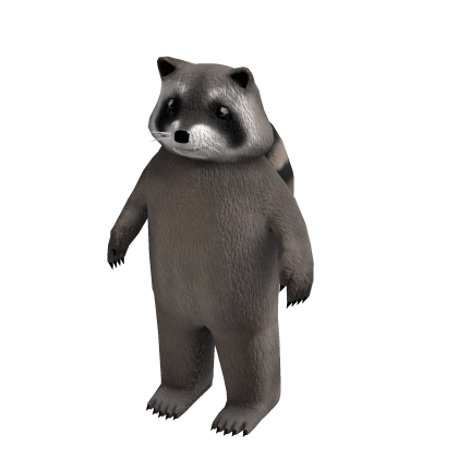 Raccoon Suit