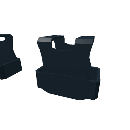 Department of Homeland Security Vests and Hat