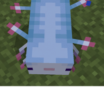 The upside Axolotls