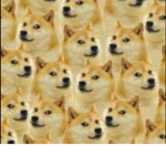 El doge del oro