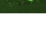 2 Platoon, C Coy, 1MERCS