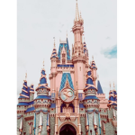 Aesthetic disney land