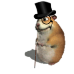 Sir Chomik