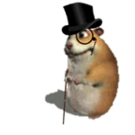 Sir Chomik