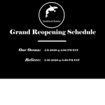 Orca Ocean Chat!