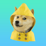 TEH #DOGESQUAD