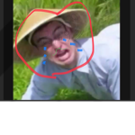 Chinese rice farmer