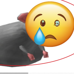 VERY SAD RAT STORY!