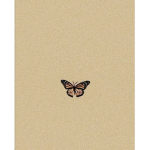 sam’s butterflies