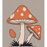 Mushy tea team