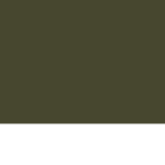 | Phoenix 2nd Armored Division