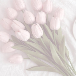 ˚ʚ♡ɞ˚