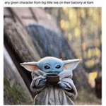 The Yoda FamiIy