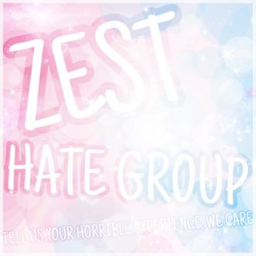 Zest Hate Group Meeting Area