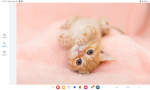 The cute and funny group