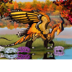 //Butterfly Dragon Paradise//