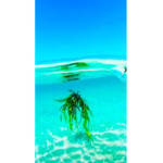 ~i like water~