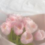 leena’s lavenders ୨୧
