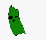 PicklePooks!