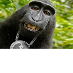 Monke Pirates