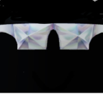 Boblox king fanclub