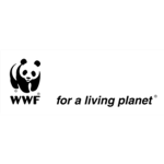 W.W.F [WORLD WRESTLING FEDERATION]