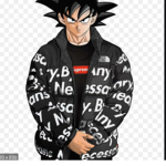the supreme goku group