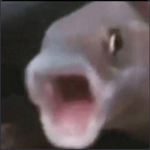specialized fish unit