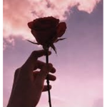 roxy_12