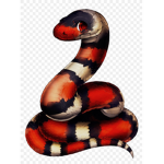 Python_