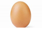 Wow OMG Egg