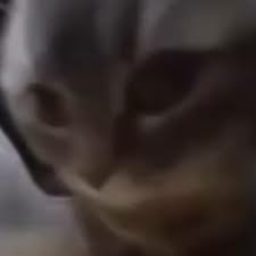 chipi chipi chapa chapa