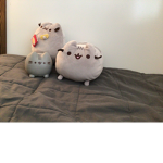 red line BOI