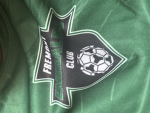 emeralds team community