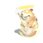 Archangel Chomik