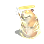 Archangel Chomik