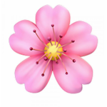 ~ Lovely Blossom Flowers ~