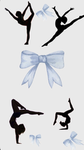 BLUE BOWS ACADEMY