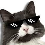 The Cats Tribe