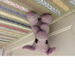 Piggy’s
