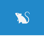 ~We Stan Rat's~ Official Group