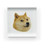 Doge Empire 2.0