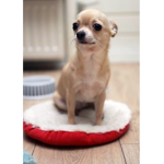 Hi hola 1