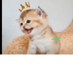 Hhgty