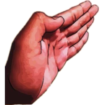 Donationxx
