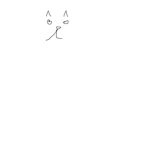 Cat Studio.