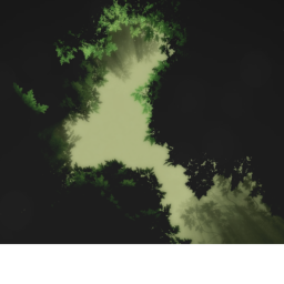 The Forest of the Lost 💚[WIP]