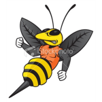 Louisville Hornets - @ItsOurTime