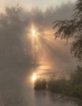 brouillard