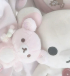 /amii
